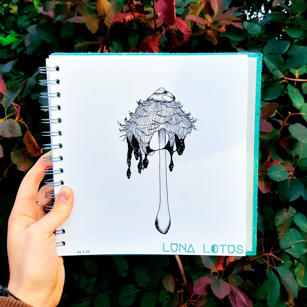 Ink Cap Mushroom Illustration Luna Lotus